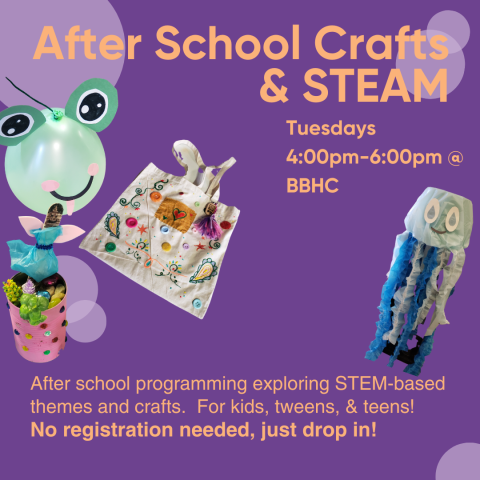After School Crafts & STEAM, pictures of crafts created at the program, and text repeating the same information that is in the program description.